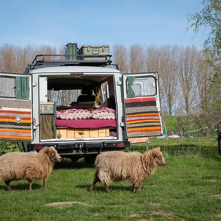 Tiny Wineyhouse 3 * Zennewijnen