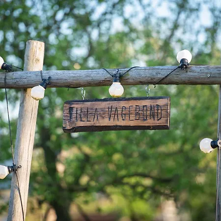Tiny Wineyhouse 3 * Zennewijnen