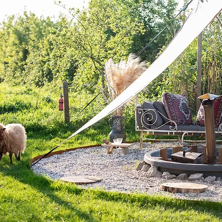 Luxury tent Tiny Wineyhouse 3 *