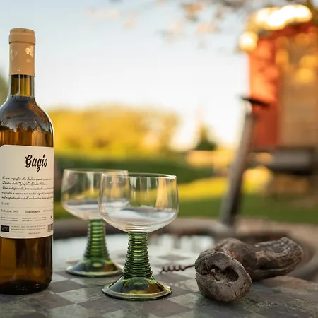 Tiny Wineyhouse 3
