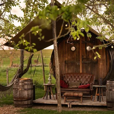 Tiny Wineyhouse 3 豪华帐篷 *