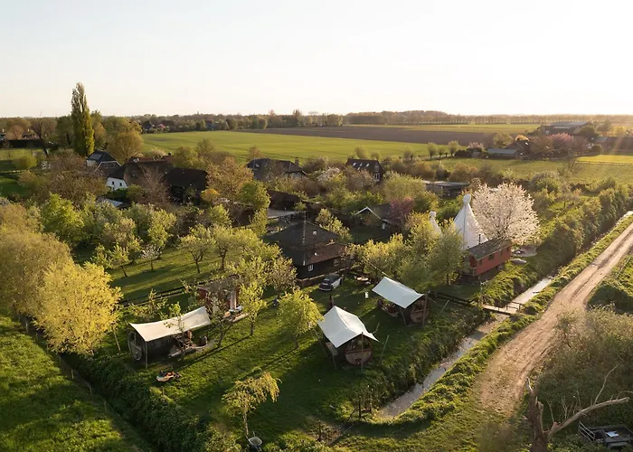 Tiny Wineyhouse 3 Zennewijnen