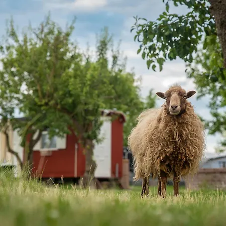 Tiny Wineyhouse 3 Luxury tent