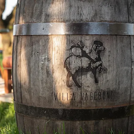 Tiny Wineyhouse 3 Zennewijnen