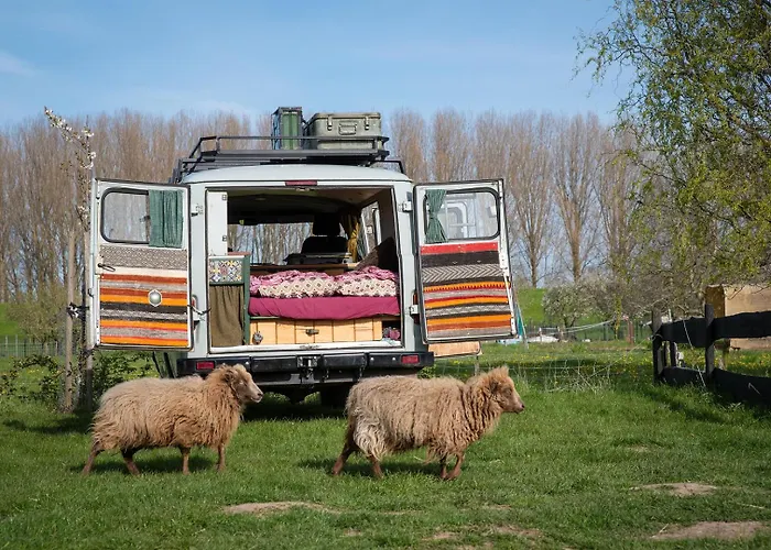 Tiny Wineyhouse 3 * Zennewijnen