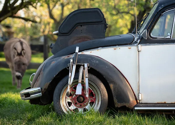 Tiny Wineyhouse 3 Zennewijnen