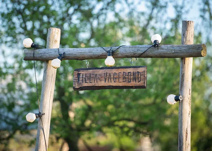 Tiny Wineyhouse 3 * Zennewijnen